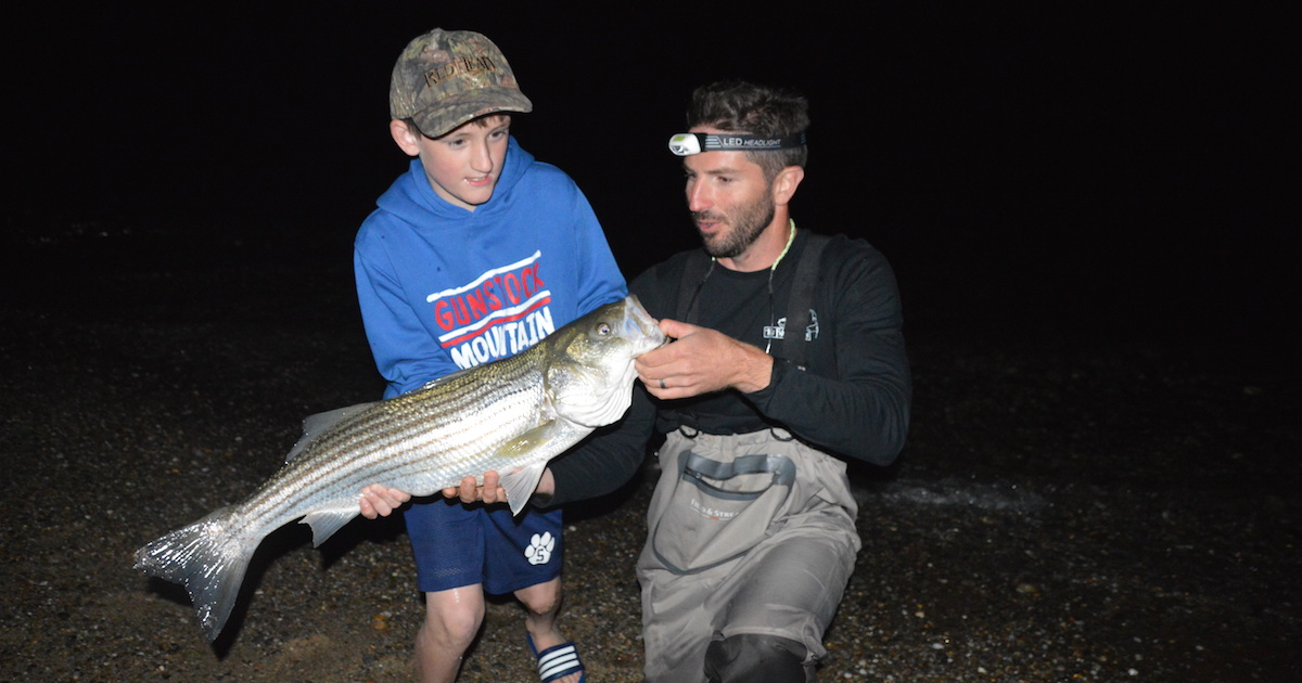 striped bass cooper